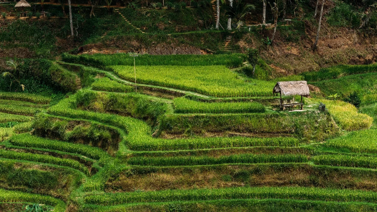 NESIA Portfoliowerk - Websites - ICT - Microsoft 365 - VOIP